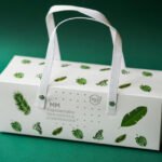 Rigid Rectangular Box with Handles